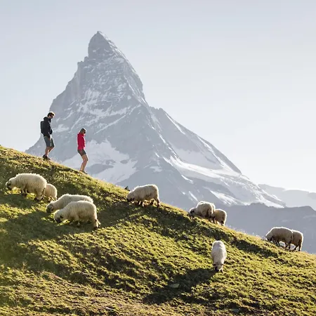Sunnaeplaetzli- Aprt. 4p Matterhorn View/wifi * 체르마트